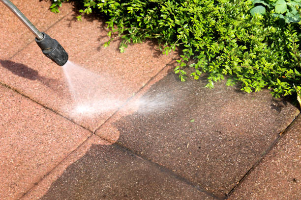 Pressure Washing Services for Businesses in Denmark, SC